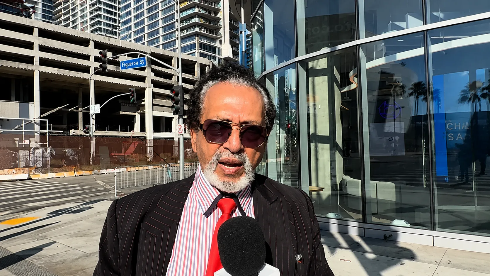 "I Have to Put Indian Flag": The Physician-Entrepreneur Betting Millions on a Landmark LA Tribute to India